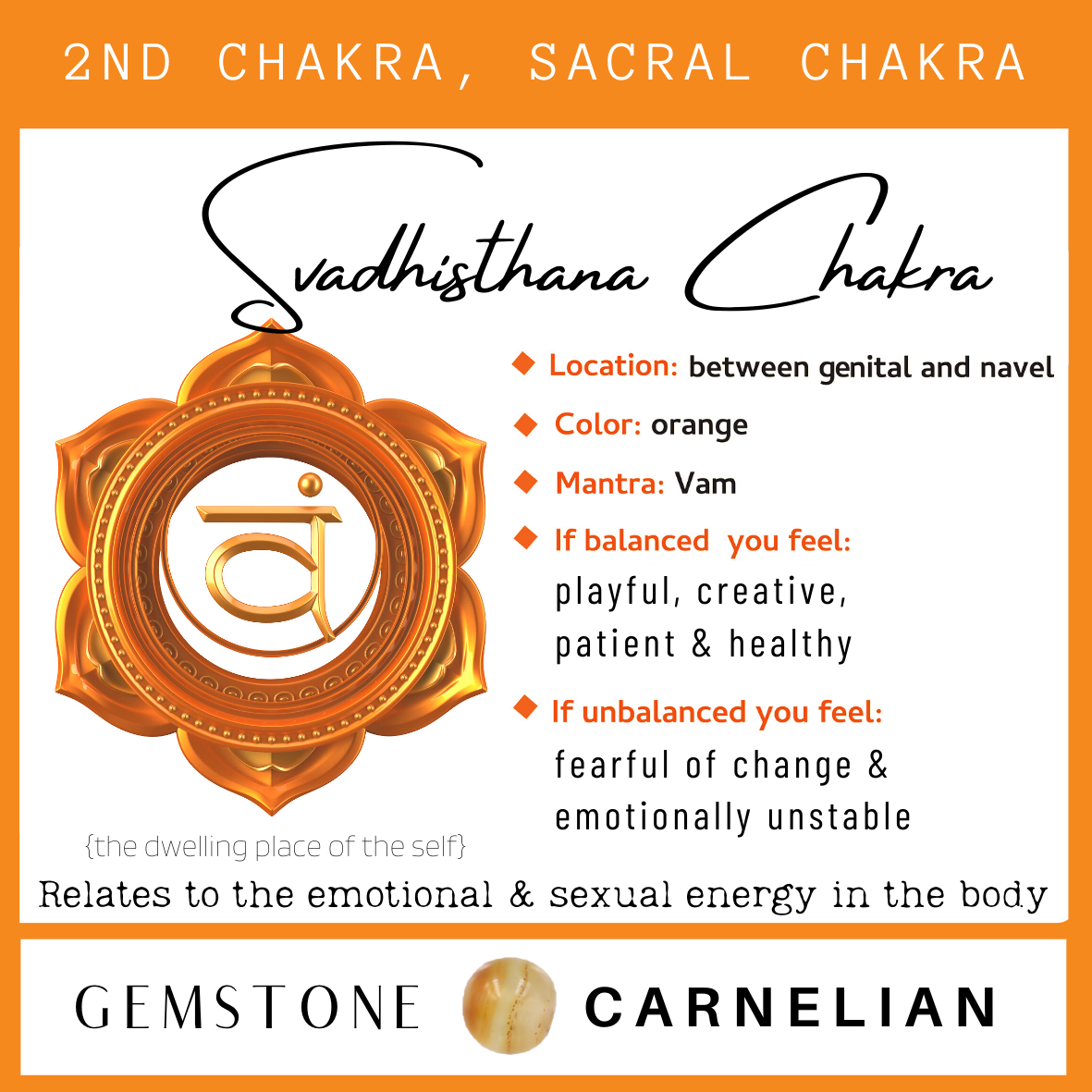 Children's Chakra & Honey Amber Bracelet | Crystal & Amber Child Anklet